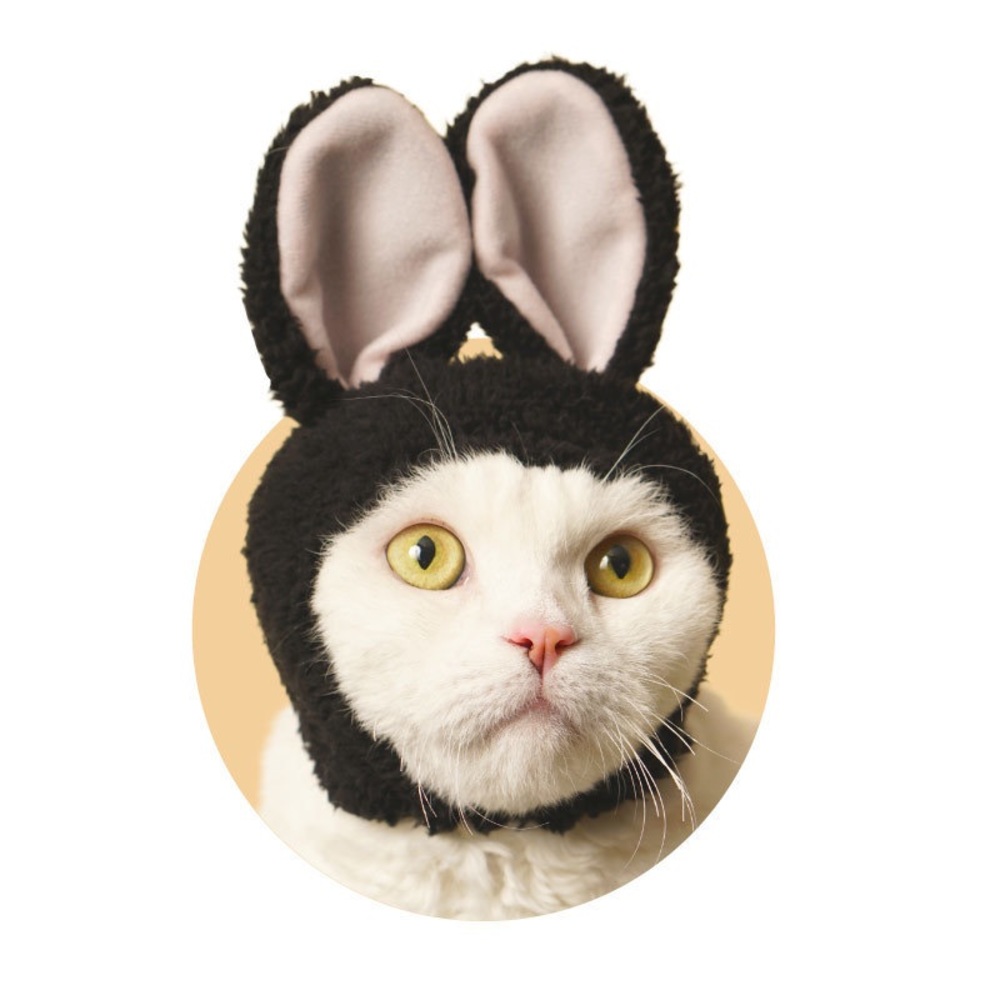 Super adorable cat hat sets♡